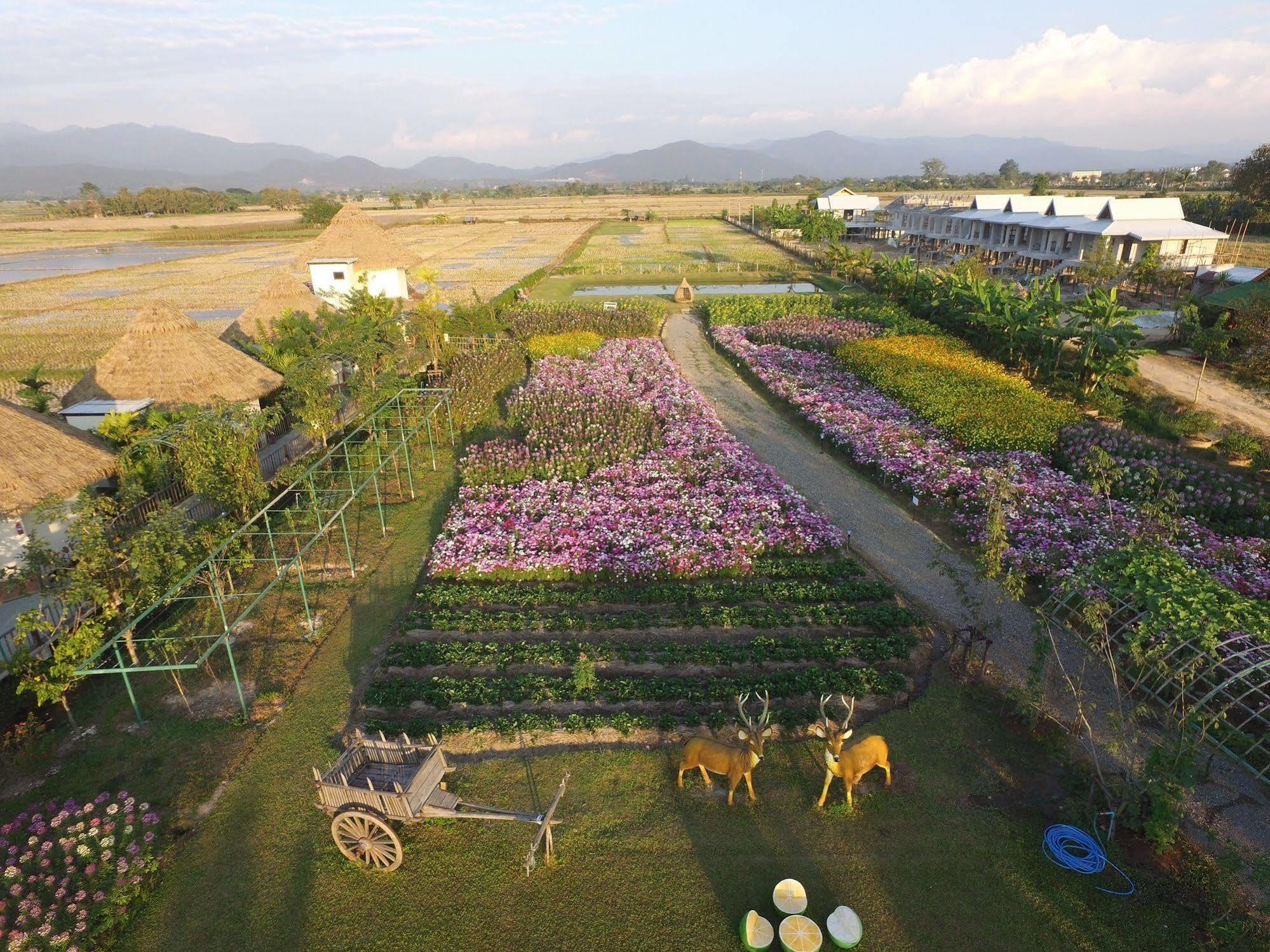 Phusanfah Resort Mae Taeng Exterior photo