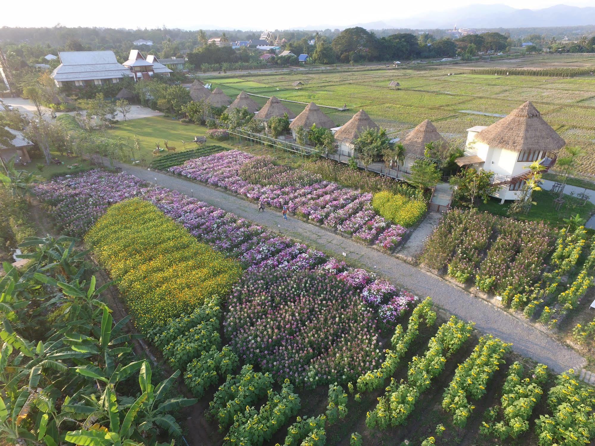 Phusanfah Resort Mae Taeng Exterior photo